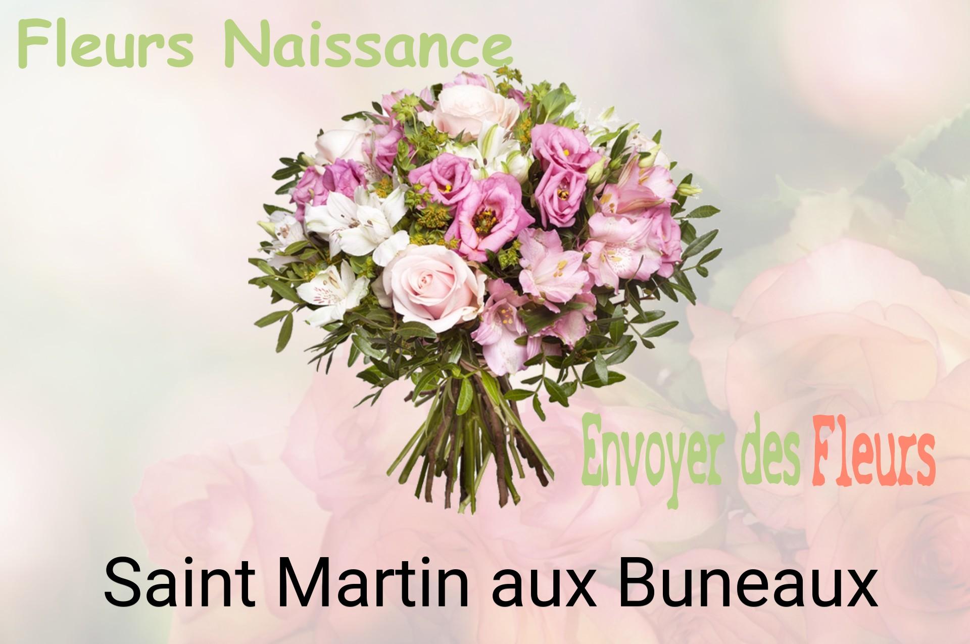 Bouquet de fleurs de naissance livré à Saint-Martin-aux-Buneaux